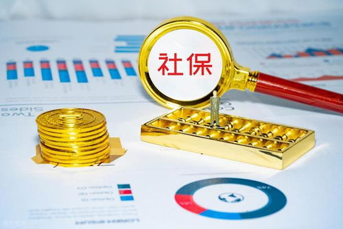 社保錢袋子誰掏空？強制繳費究竟保護誰？企業最終僅認這一招